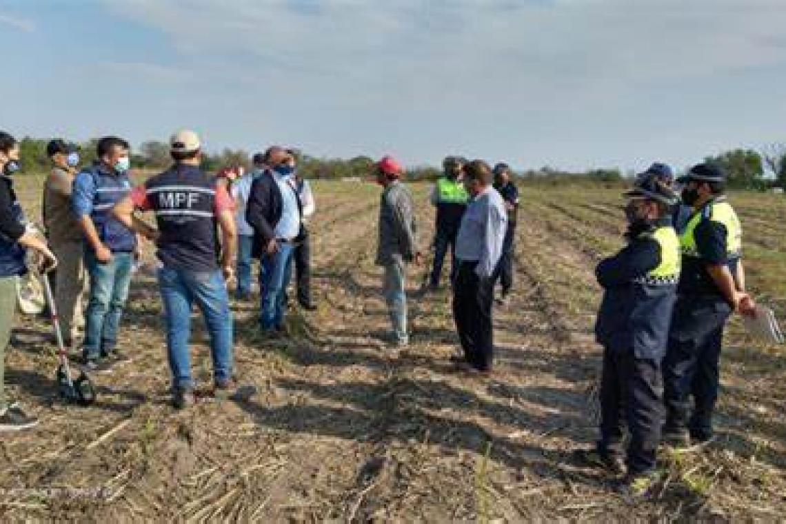 Hallaron en un cañaveral el cuerpo de una mujer buscada 