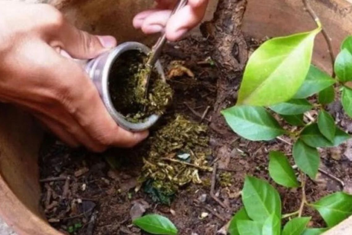 No tires más la yerba del mate